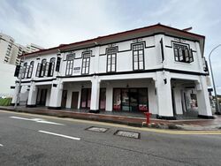 Joo Chiat Road (D15), Shop House #613102371